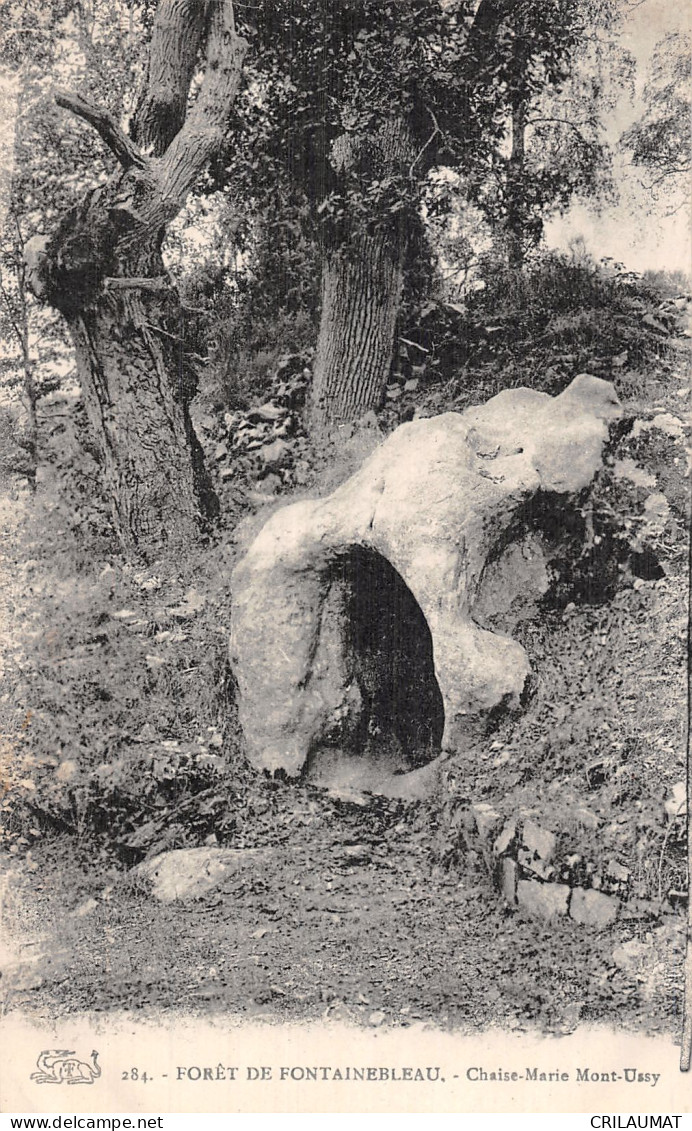 77-FONTAINEBLEAU LA FORET CHAISE MARIE MONT USSY-N°5166-E/0069 - Fontainebleau