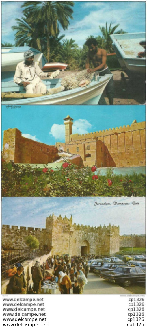 10dito  ISRAEL LOT DE 3 CP AQABA FISHERMEN, JERUSALEM DAMASCUS GATE, HEBRON THE TOMBS OF THE PATRIARCHS - Israel