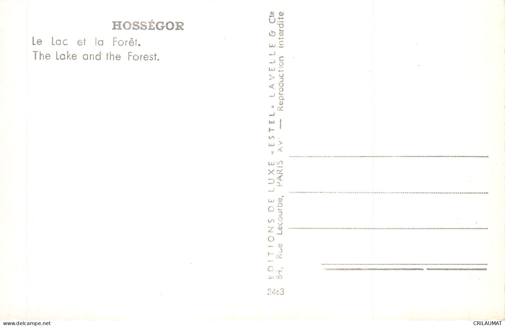 40-HOSSEGOR-N°T5167-C/0139 - Hossegor