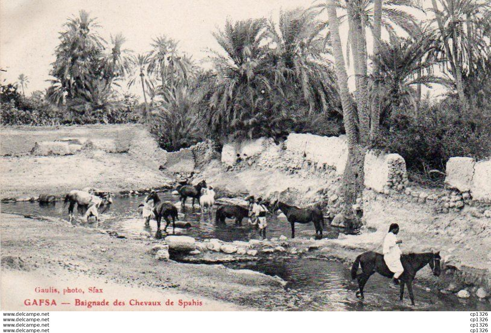 4V1FP   Tunisie Gafsa Baignade Des Chevaux De Spahis - Tunesien