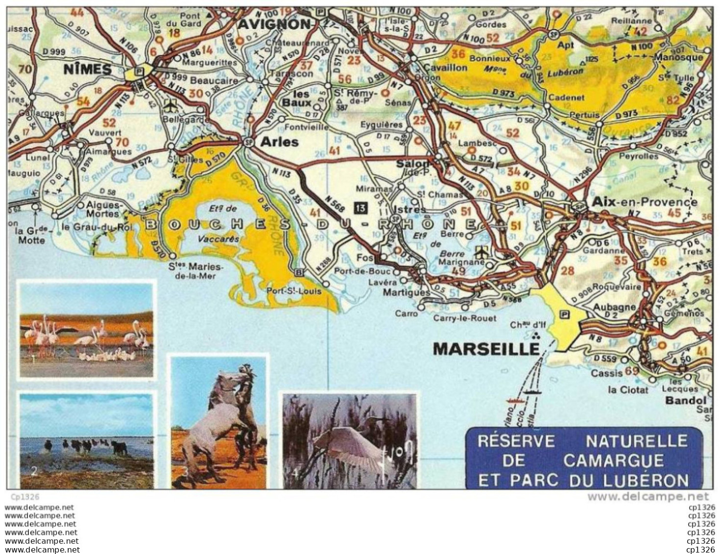 10dito  RESERVE NATURELLE DE CAMARGUE ET PARC DU LUBERON - Provence-Alpes-Côte D'Azur