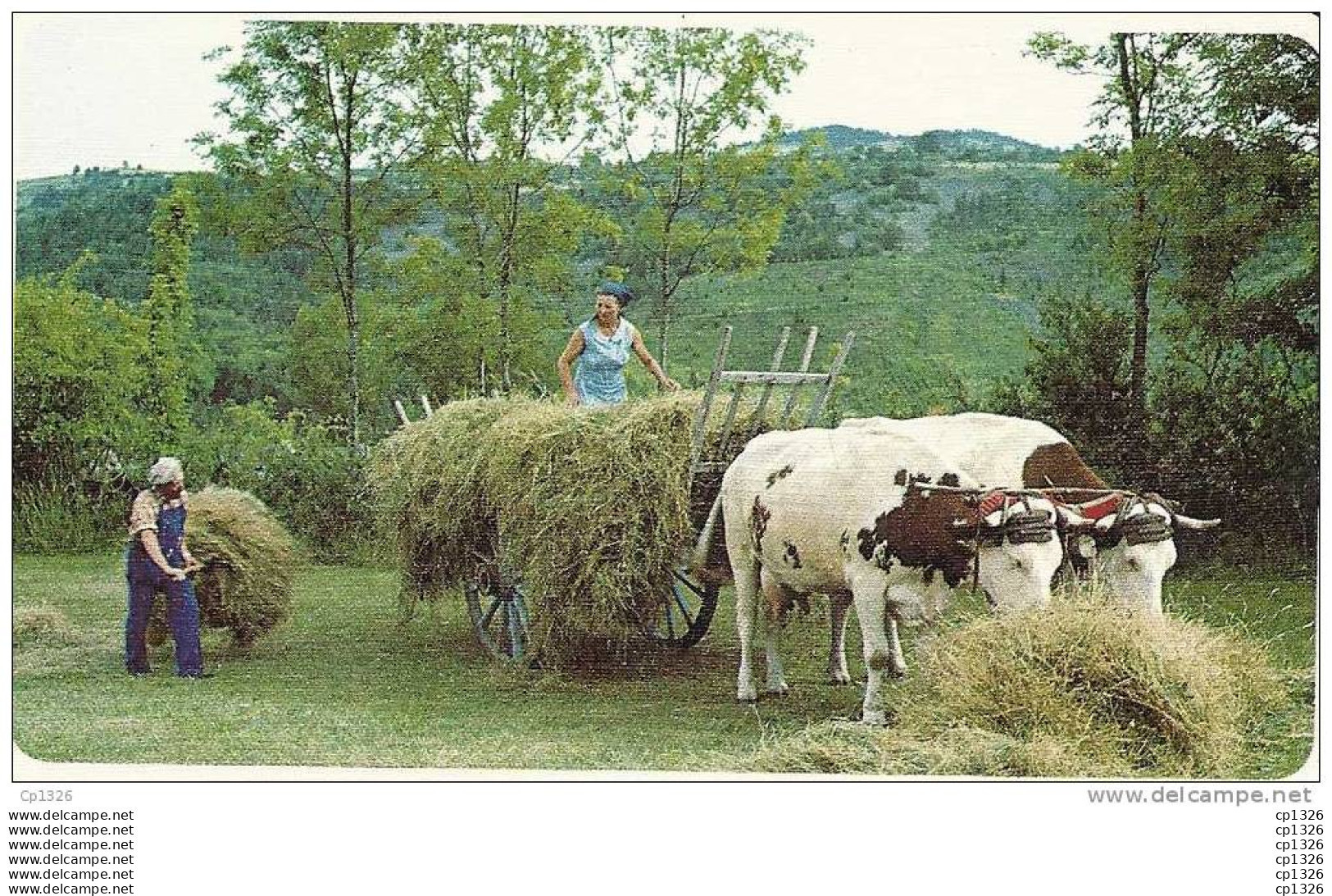 10dito  VIEUX METIERS ET TRADITIONS LES FENAISONS RAMASSAGE DU FOIN A LA FOURCHE - Farmers