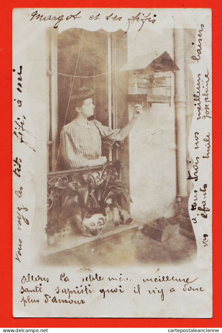 35838 / Carte-Photo De LUZ-SAINT-SAUVEUR (65) MARGOT Et Ses FIFIS Canaris En Cage 1908 à GIRARDOT Rue St Agnan Cosne  - Luz Saint Sauveur