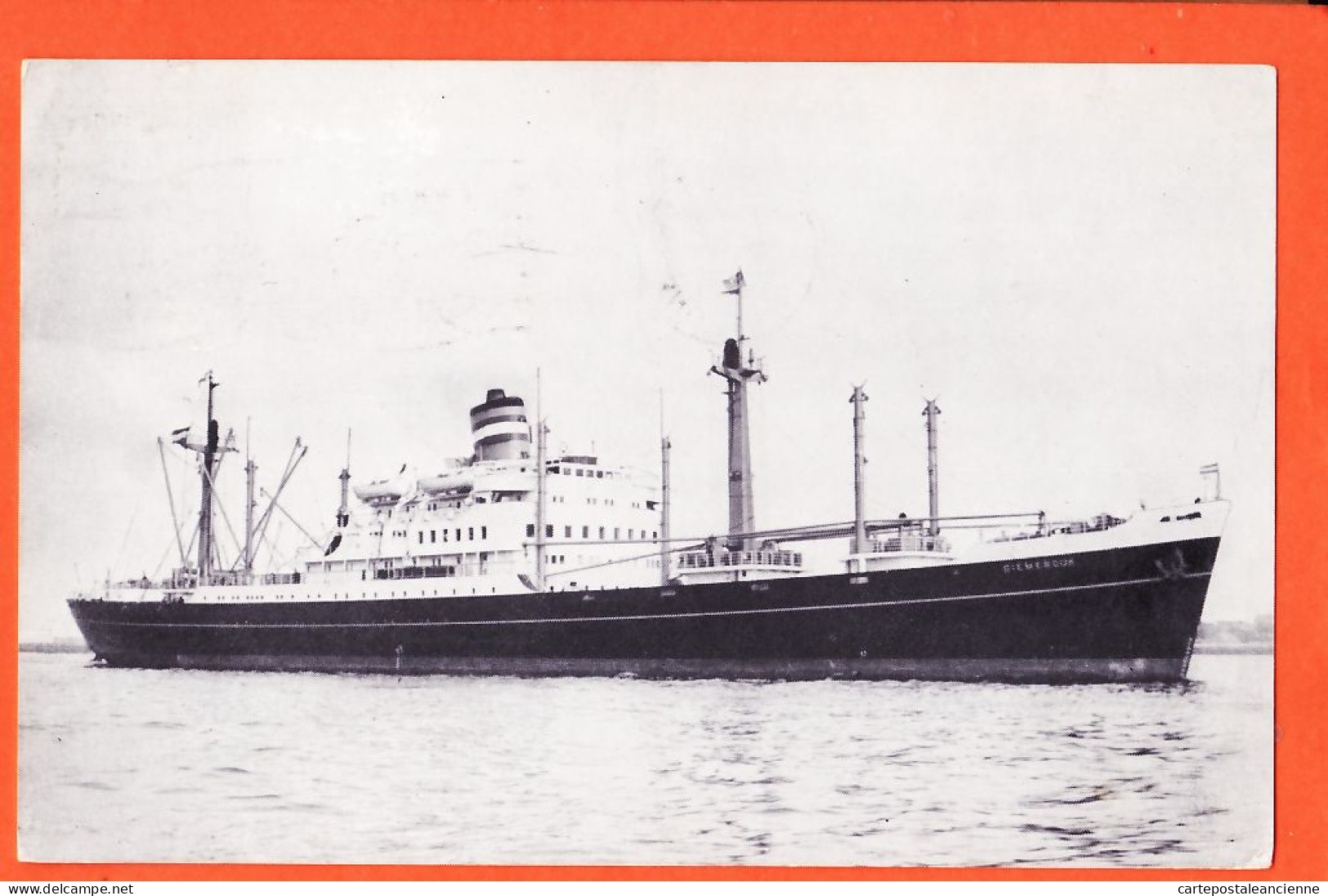 35760 / S.S DIEDMERDIJK Cargo 11195 Gross Tons Holland America Line 1951 - Commerce