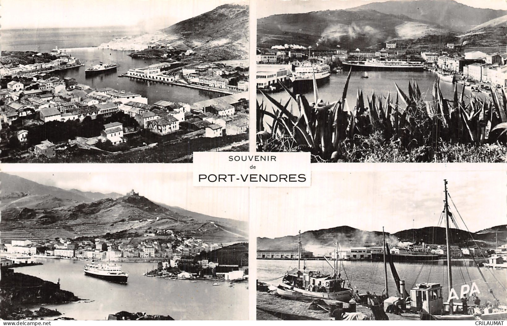 66-PORT VENDRES-N°T5168-G/0185 - Port Vendres