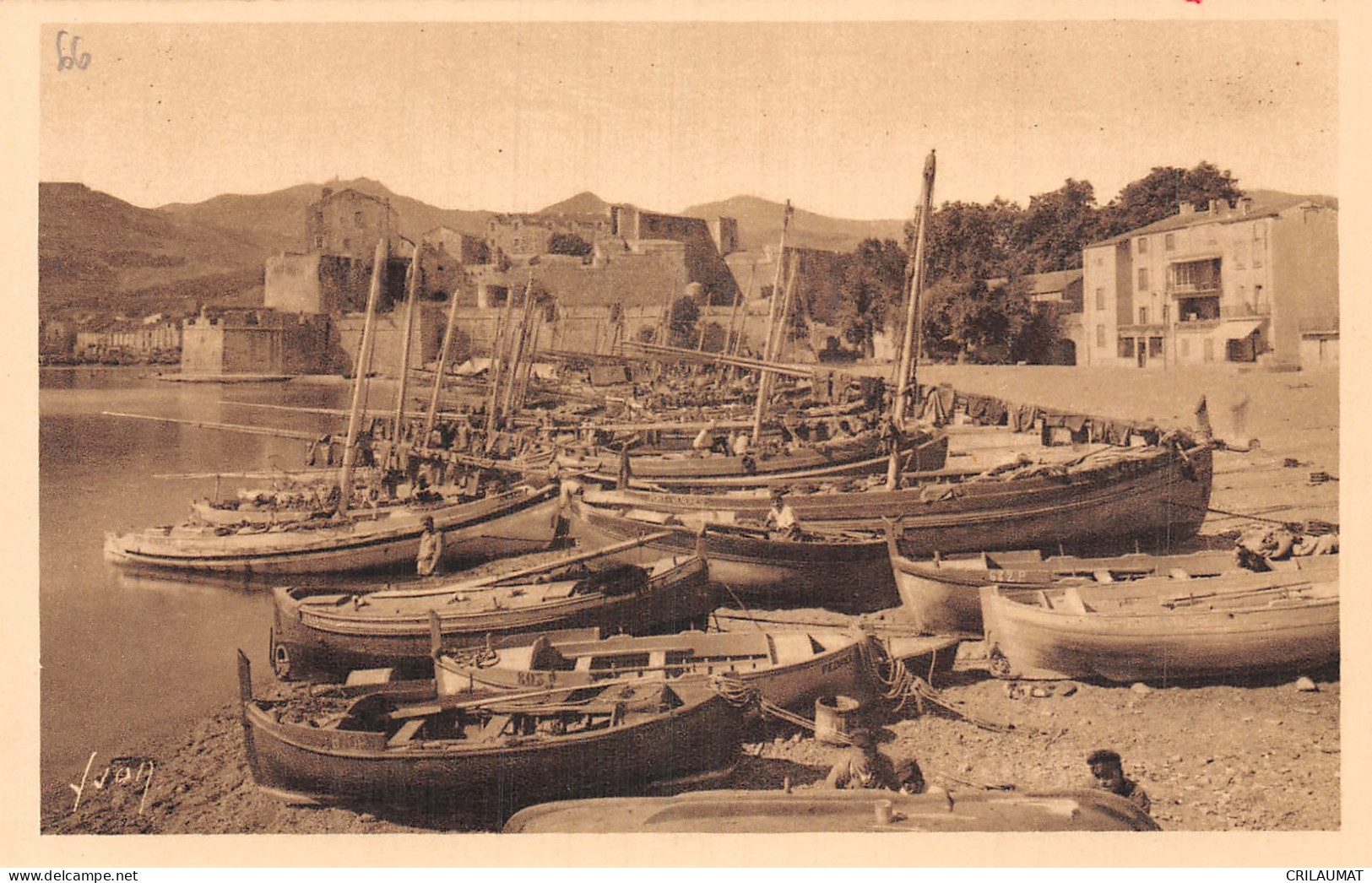 66-COLLIOURE-N°T5168-E/0313 - Collioure