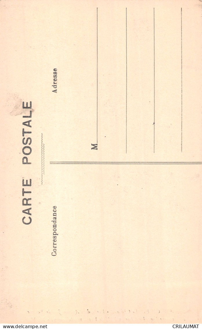 37-AMBOISE LE CHÂTEAU-N°T5168-H/0191 - Amboise