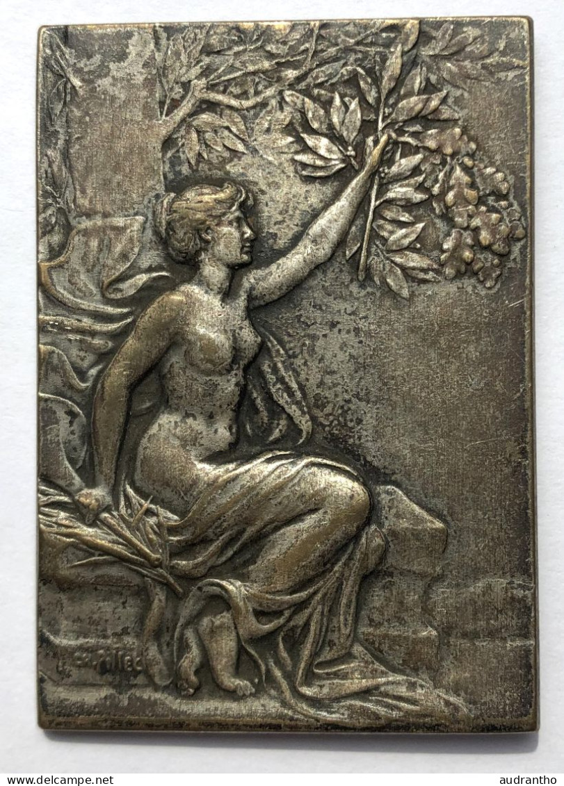 Médaille Bronze Art Nouveau Plaquette De Mariage ? Signée Charles PILLET - Femme Coq - 5 Mai 1906 Bien Aimé - Desforges - Other & Unclassified