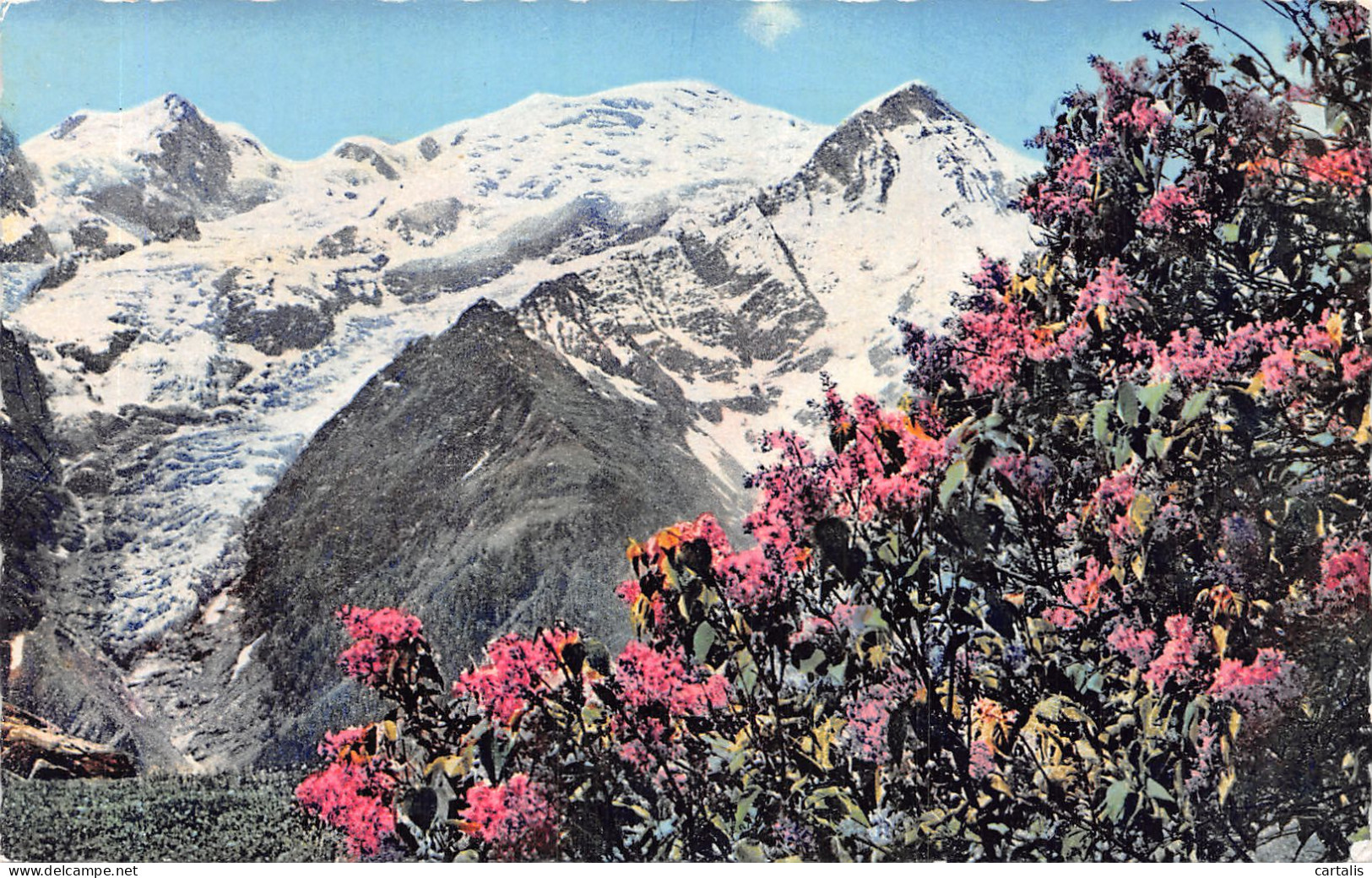 74-LE MONT BLANC-N°4222-B/0353 - Sonstige & Ohne Zuordnung