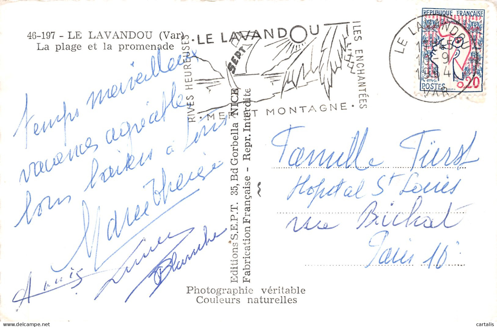 83-LE LAVANDOU-N°4222-D/0249 - Le Lavandou