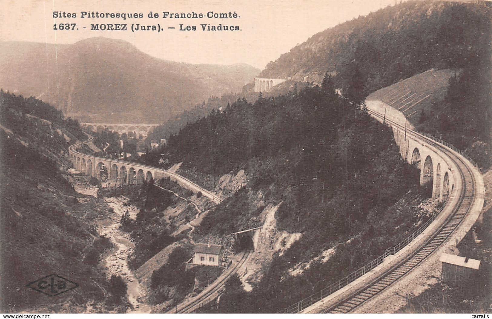 39-MOREZ-N°4223-A/0379 - Morez