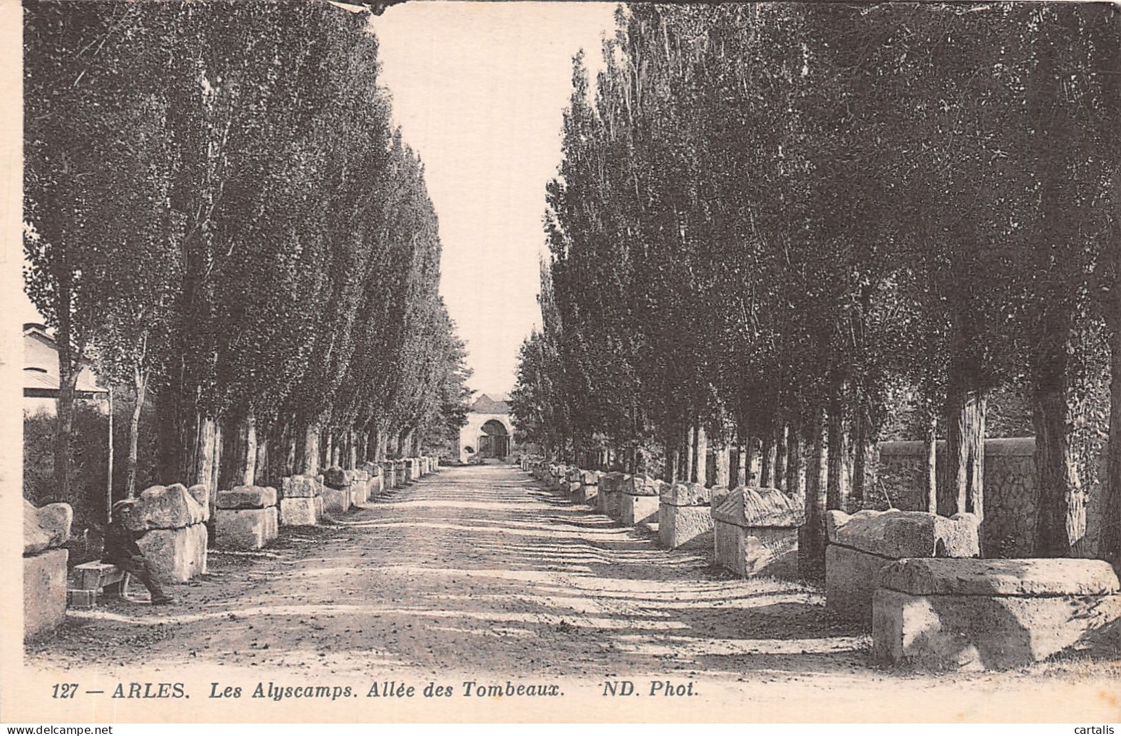 13-ARLES-N°4223-D/0275 - Arles