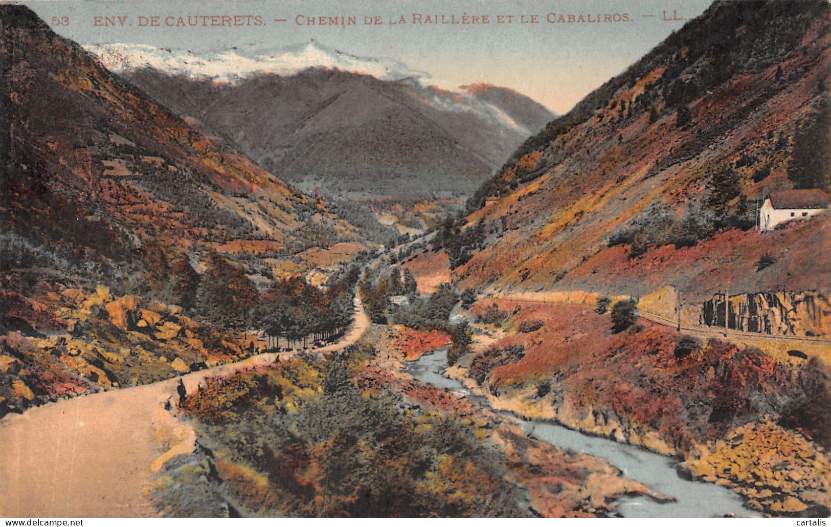 65-CAUTERETS CHEMIN DE LA RAILLERE-N°4223-D/0067 - Cauterets