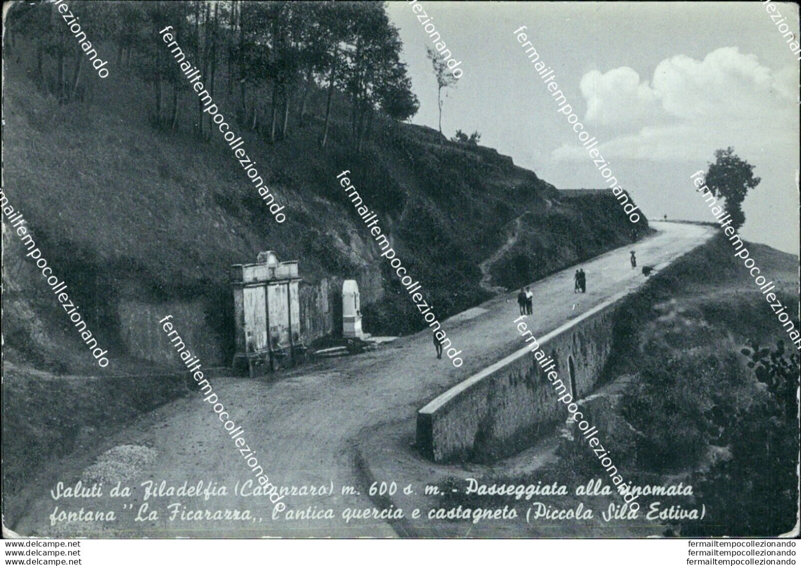 Ao602 Cartolina Saluti Da Filadelfia Passeggiata Alla Rinomata Catanzaro - Catanzaro