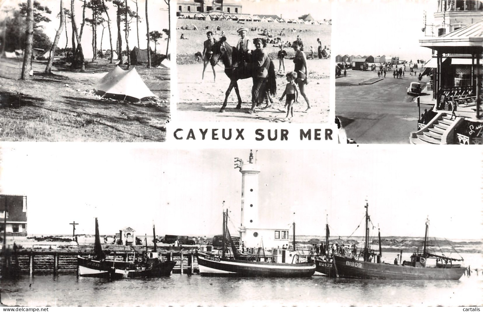 80-CAYEUX SUR MER-N°4223-C/0205 - Cayeux Sur Mer