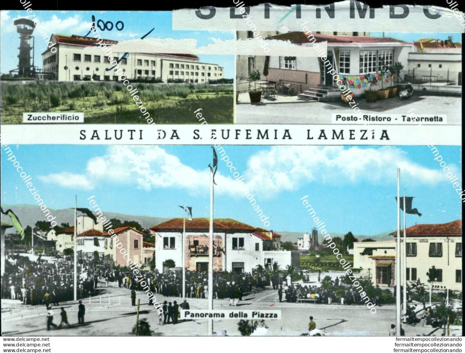 Ao627 Cartolina Bozza Campione Saluti Da S.eufemia Lamezia Provinciadi Catanzaro - Catanzaro