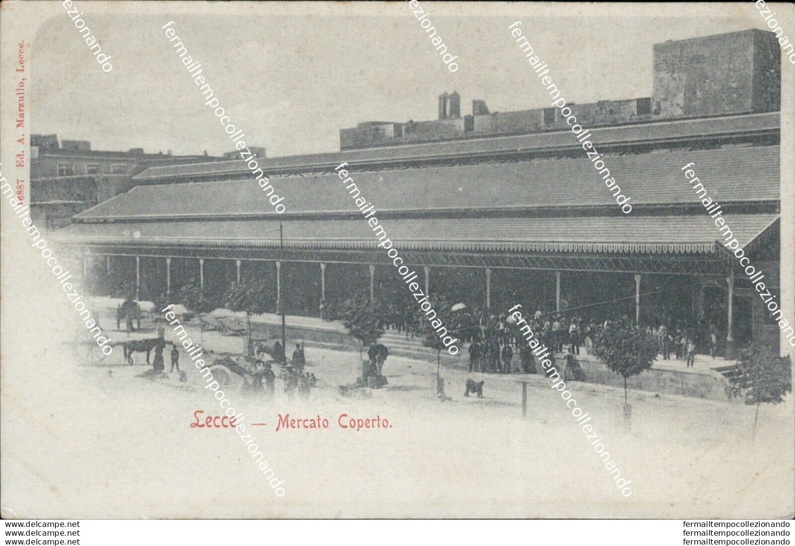 Ai659 Cartolina  Lecce Citta' Mercato Coperto - Lecce