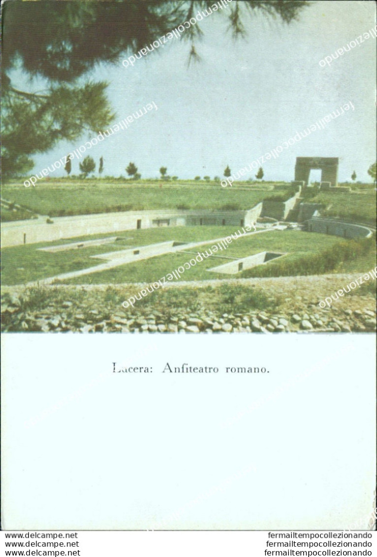 M669 Cartolina Lucera Anfiteatro Romano Provincia Di Foggia - Foggia