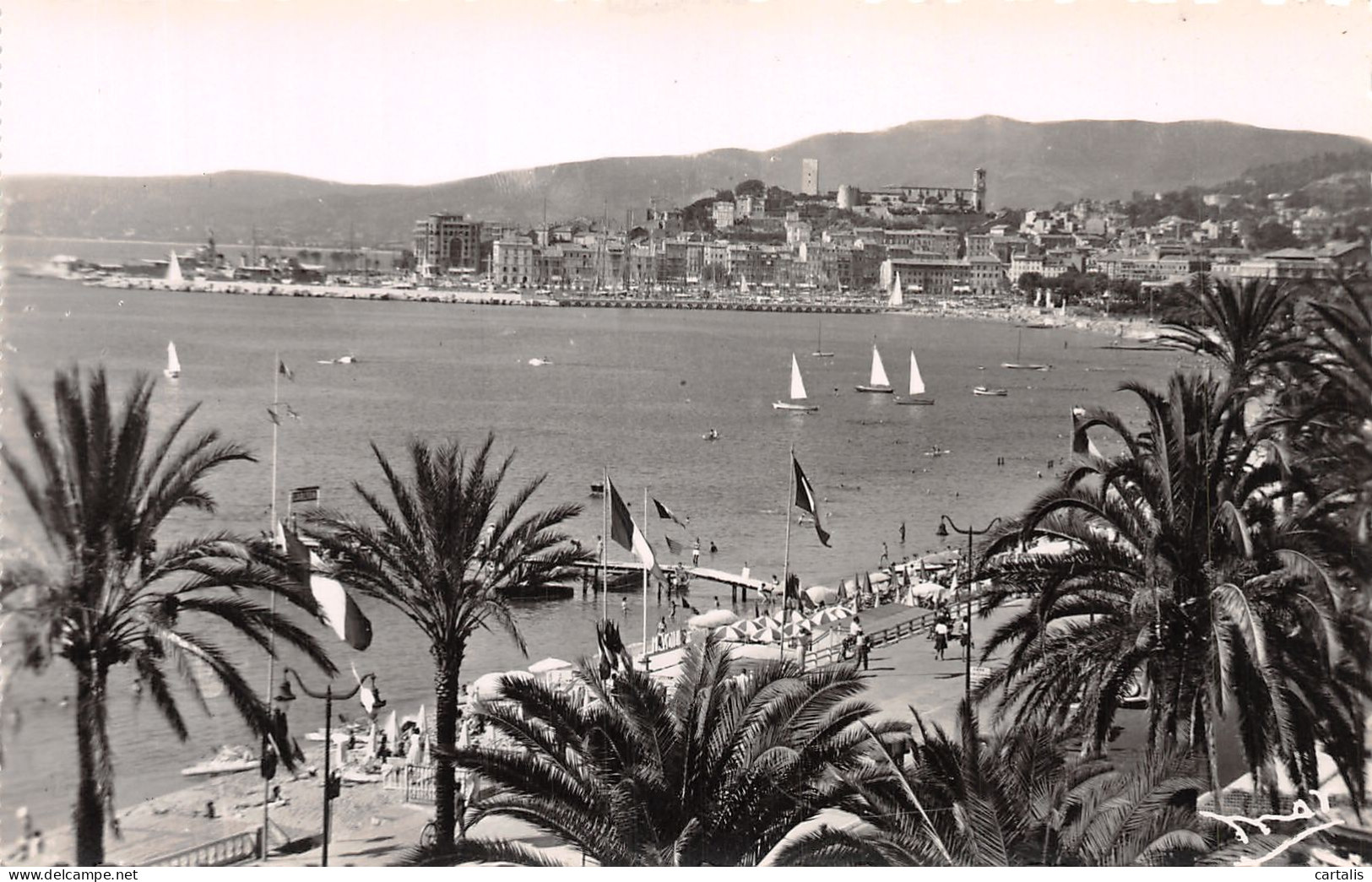 06-CANNES-N°4225-A/0051 - Cannes