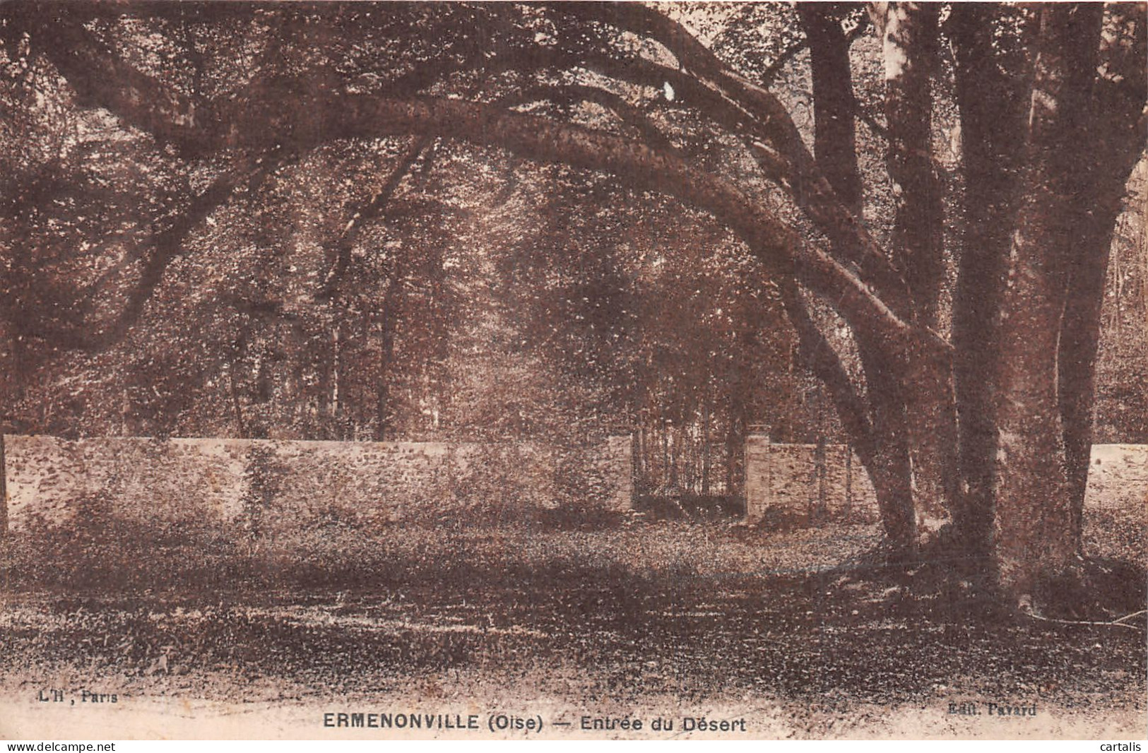 60-ERMENONVILLE-N°4224-H/0313 - Ermenonville