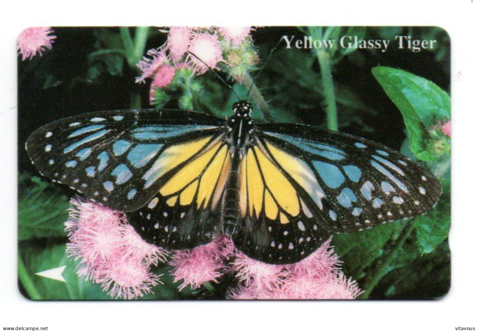 Papillon Butterfly Yellow Glassy Tiger Télécarte Singapour Phonecard (K 421) - Singapore