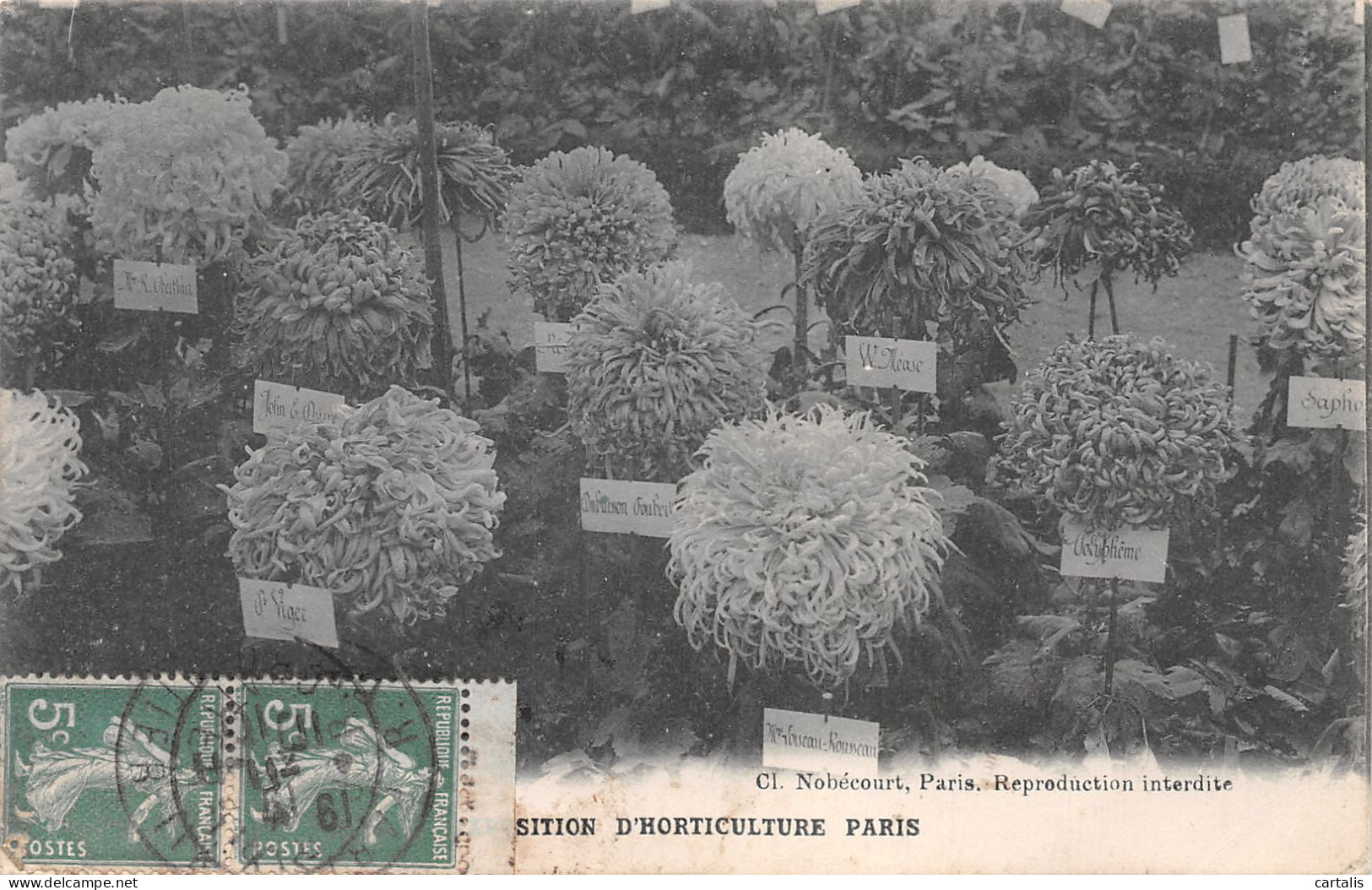 75-PARIS EXPO D HORTICULTURE-N°4225-H/0317 - Ausstellungen