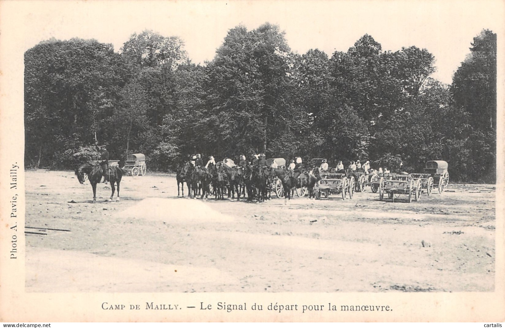 10-MAILLY-N°4226-C/0077 - Mailly-le-Camp
