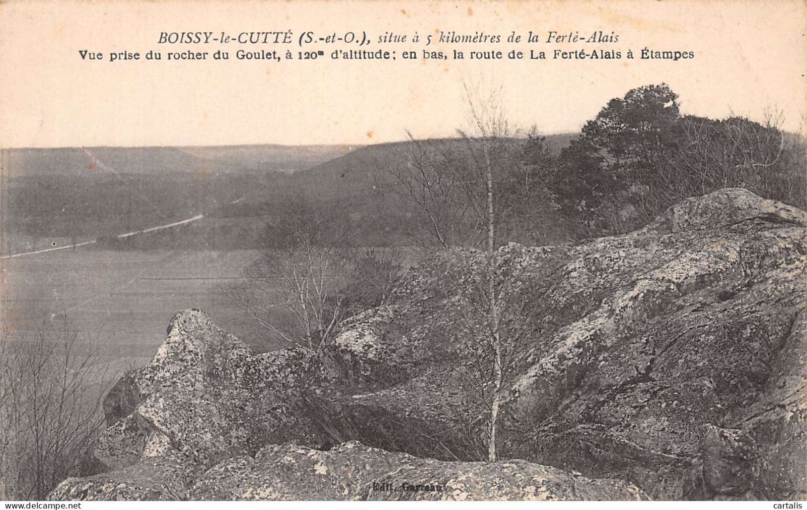 91-BOISSY LE CUTTE-N°4226-H/0161 - Sonstige & Ohne Zuordnung