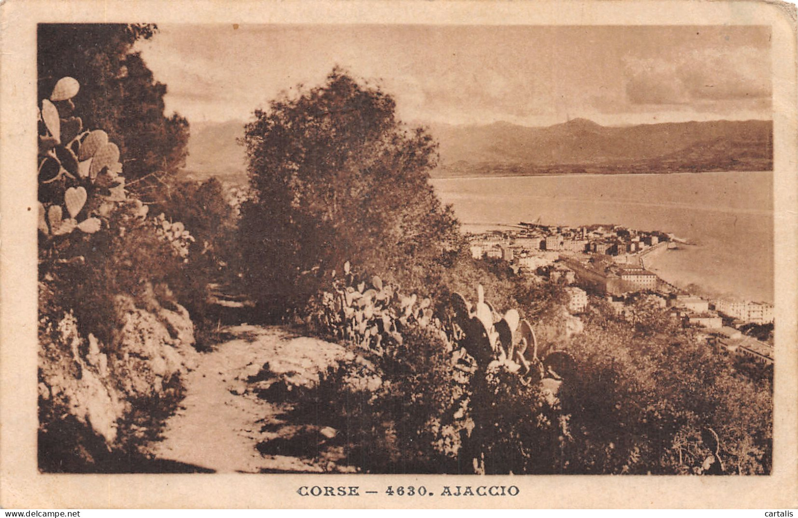 20-AJACCIO-N°4226-G/0313 - Ajaccio