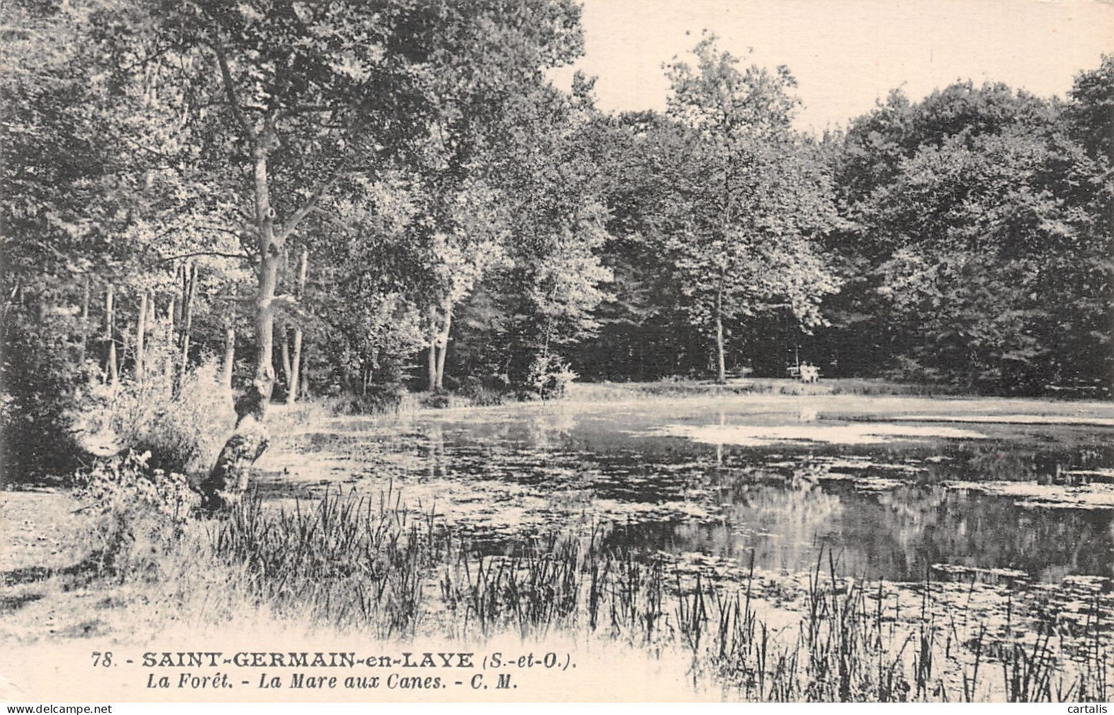 78-SAINT GERMAIN EN LAYE-N°4227-D/0087 - St. Germain En Laye