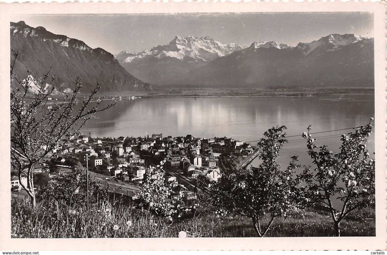 SUI-MONTREUX-N°4228-A/0167 - Mon