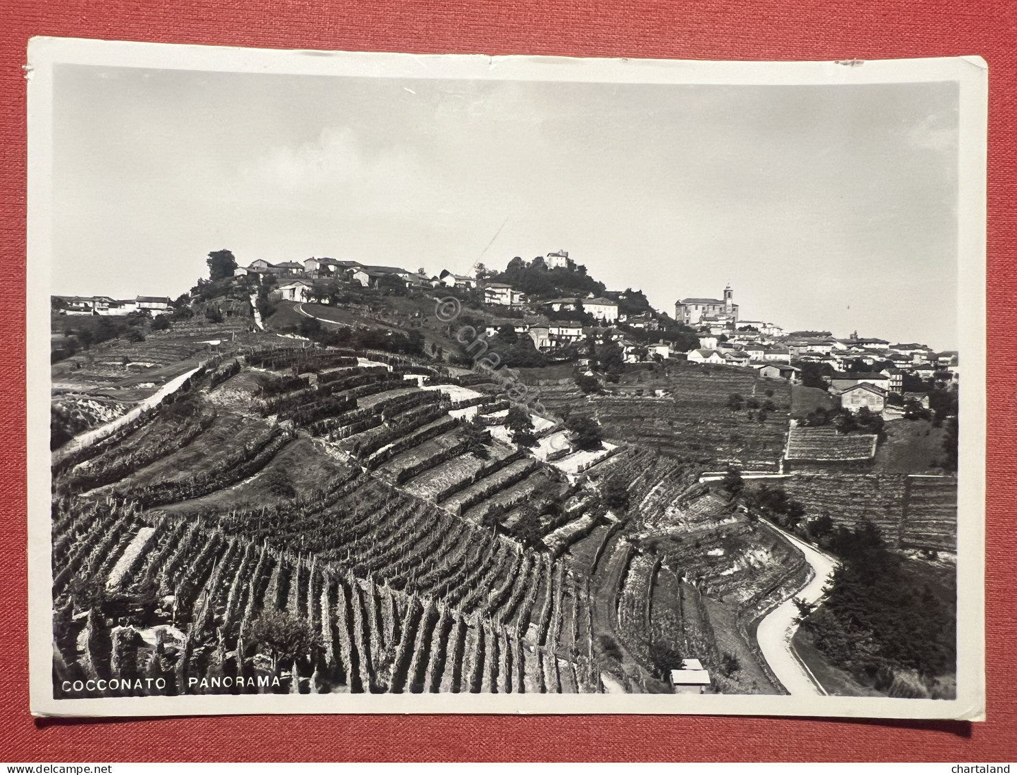 Cartolina - Cocconato ( Asti ) - Panorama - 1952 - Asti