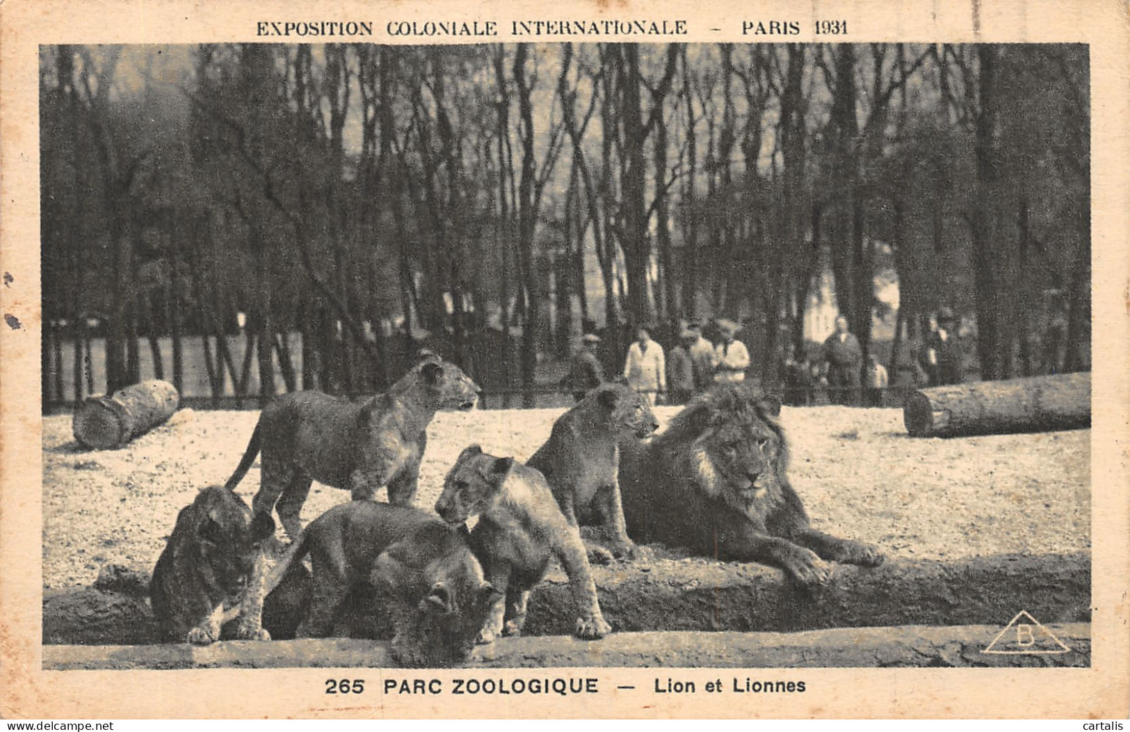 75-PARIS EXPO COLONIALE INTERNATIONALE ZOO-N°4228-D/0053 - Ausstellungen