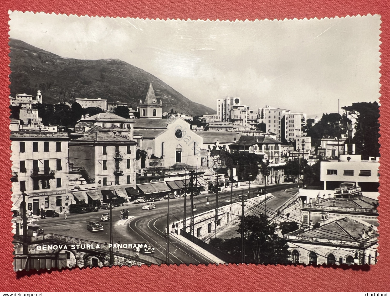 Cartolina - Genova Sturla - Panorama - 1955 - Genova (Genoa)