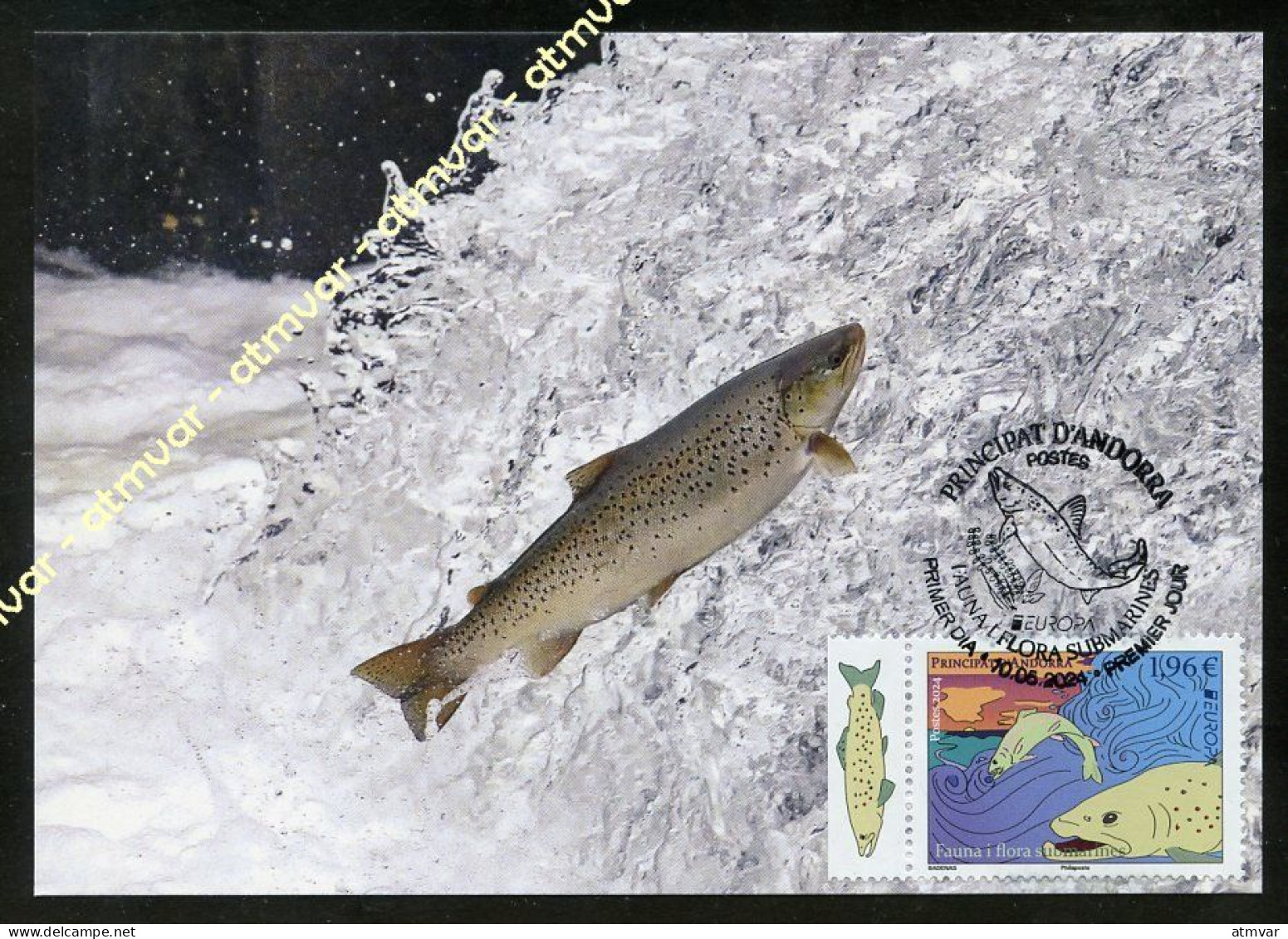 ANDORRA Postes (2024) Carte Maximum EUROPA Fauna I Flora Submarines Truite Arc-en-ciel Trucha Salmo Trutta Fario Trout - Maximumkarten (MC)