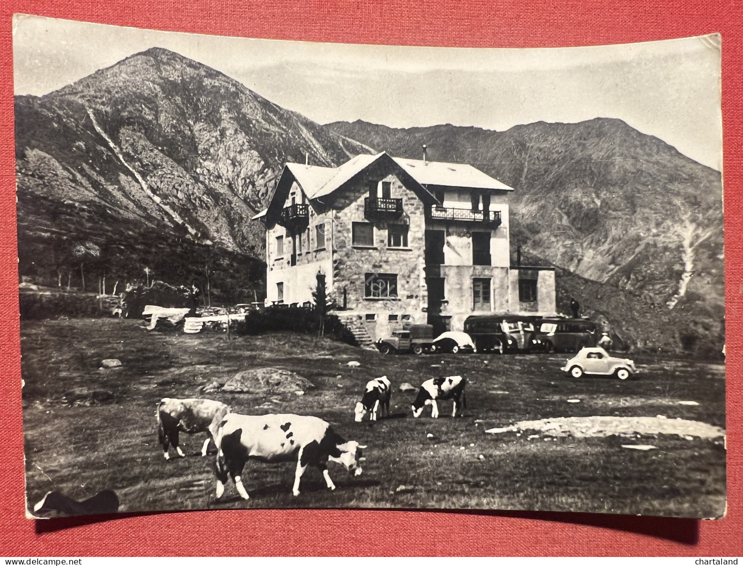 Cartolina - Colle Del Lys ( Torino ) - Albergo M. Civrari - 1950 Ca. - Sonstige & Ohne Zuordnung