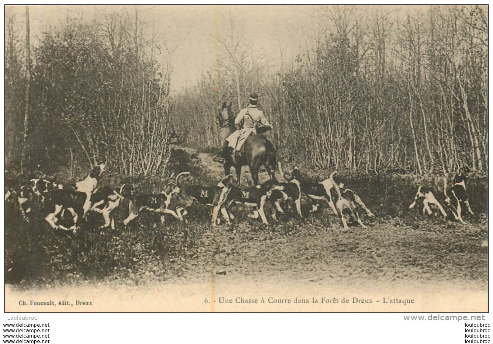 CHASSE A COURRE DANS LA FORET DE DREUX L'ATTAQUE - Hunting