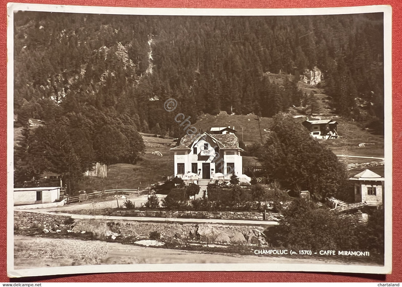 Cartolina - Champoluc ( Valle D'Aosta ) - Caffè Miramonti - 1937 - Other & Unclassified