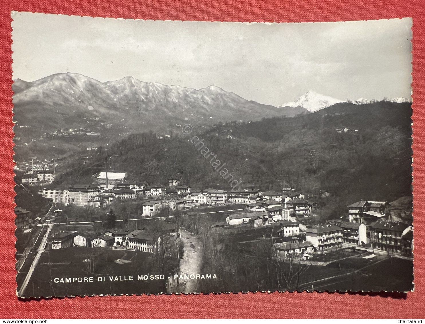 Cartolina - Campore Di Valle Mosso ( Biella ) - Panorama - 1948 - Biella