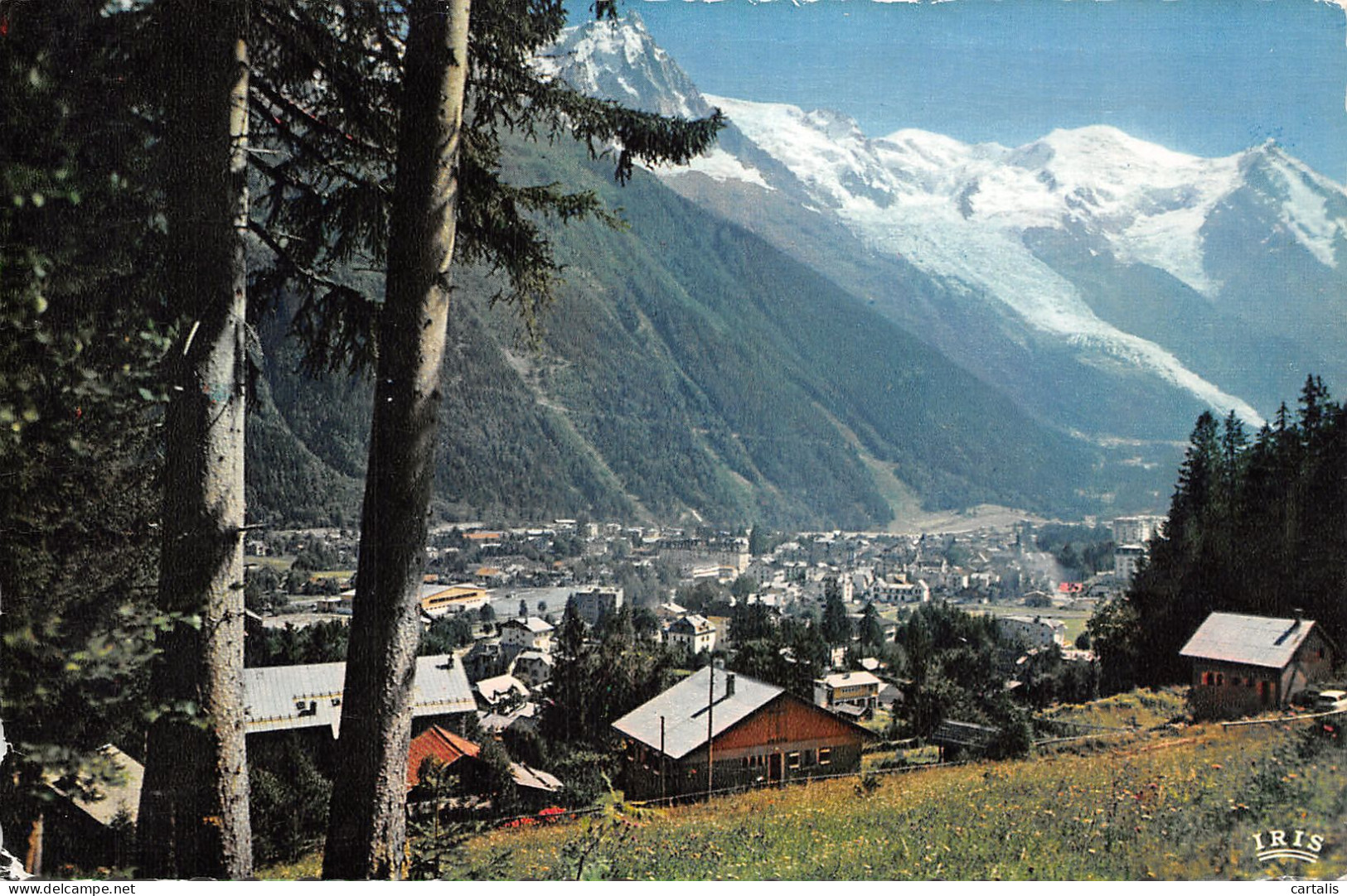 74-CHAMONIX-N°4229-E/0289 - Chamonix-Mont-Blanc