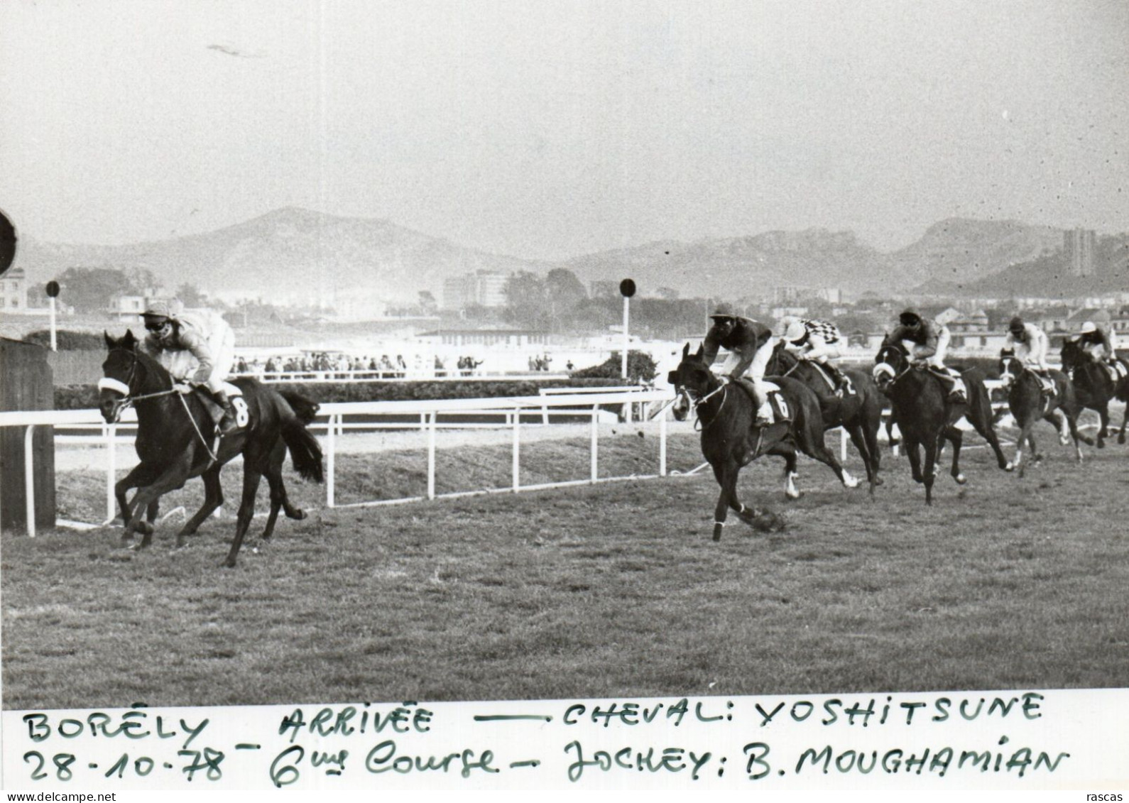 PHOTO DE PRESSE - COURSES  HIPPIQUES - MARSEILLE BORELY - 28.10.78 - 6eme COURSE - GAGNANT YOSHITSUNE JOCKEY MOUGHAMIAN - Sports