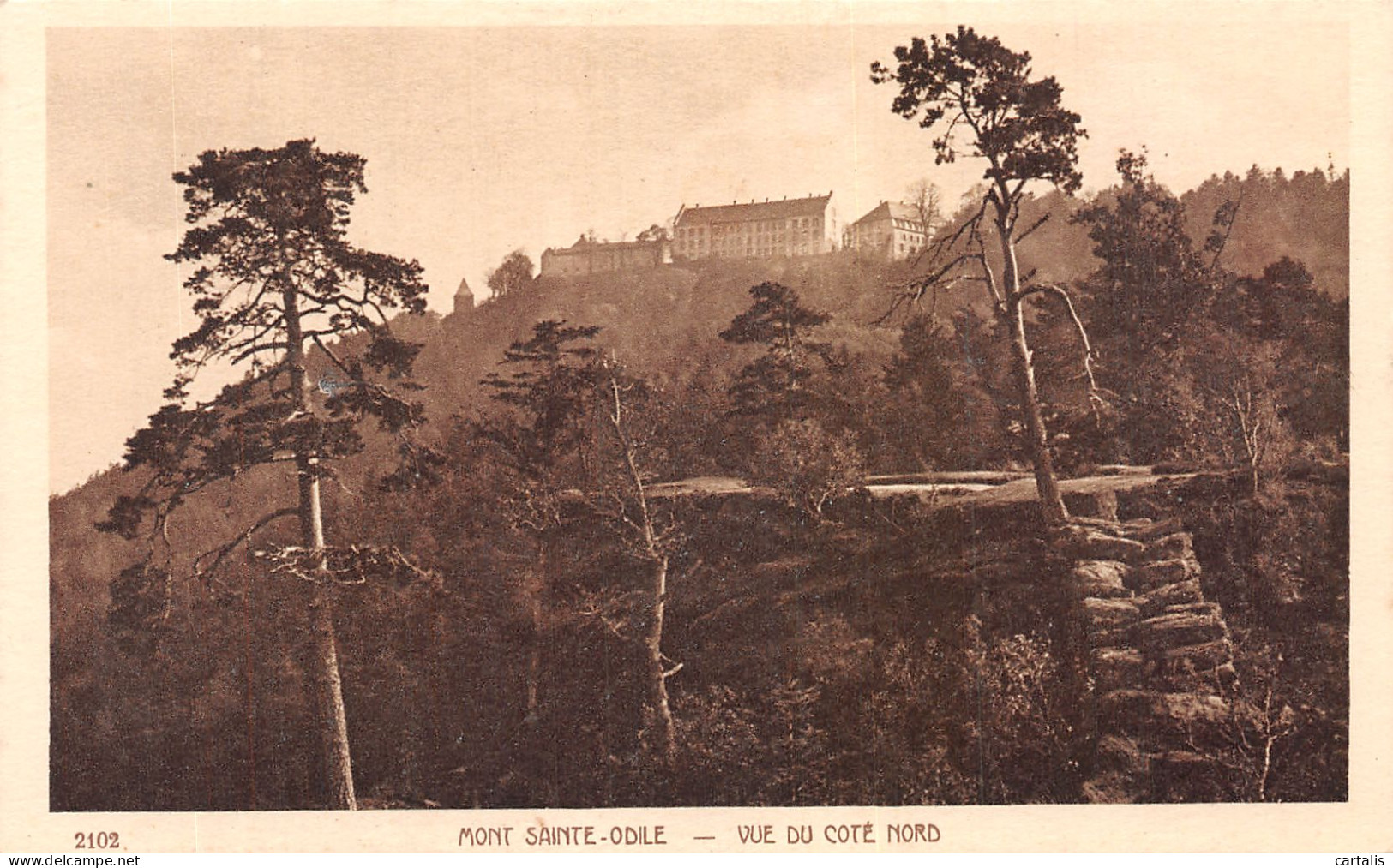 67-LE MONT SAINTE ODILE-N°4229-E/0103 - Sonstige & Ohne Zuordnung