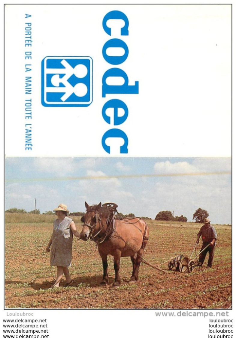 CALENDRIER 1982 CODEC  CLICHE BUZZINI - Petit Format : 1981-90