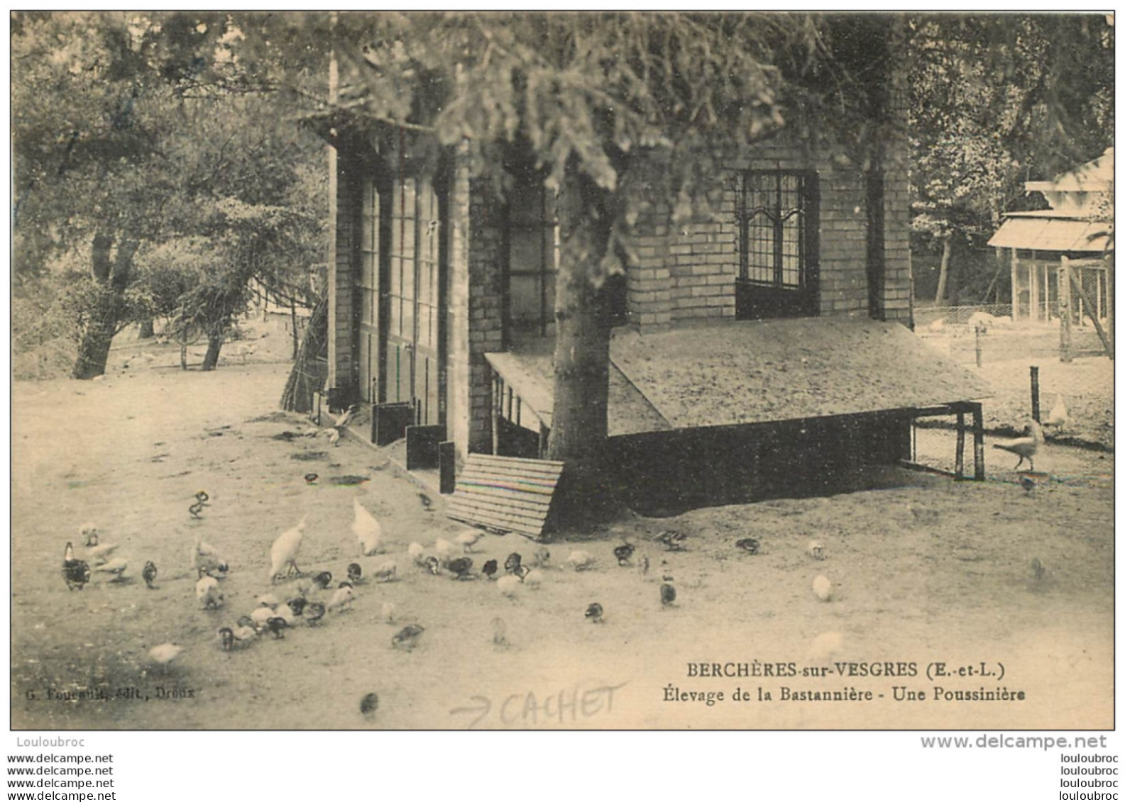 BERCHERES SUR VESGRES ELEVAGE DE LA BASTANNIERE UNE POUSSINIERE  AVEC CACHET AU VERSO DE L'ELEVEUR - Autres & Non Classés