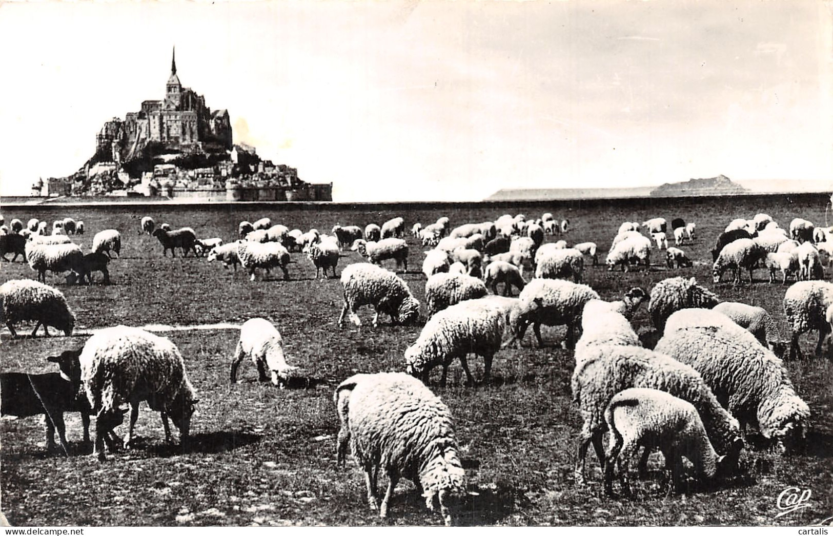 50-LE MONT SAINT MICHEL-N°4230-D/0257 - Le Mont Saint Michel