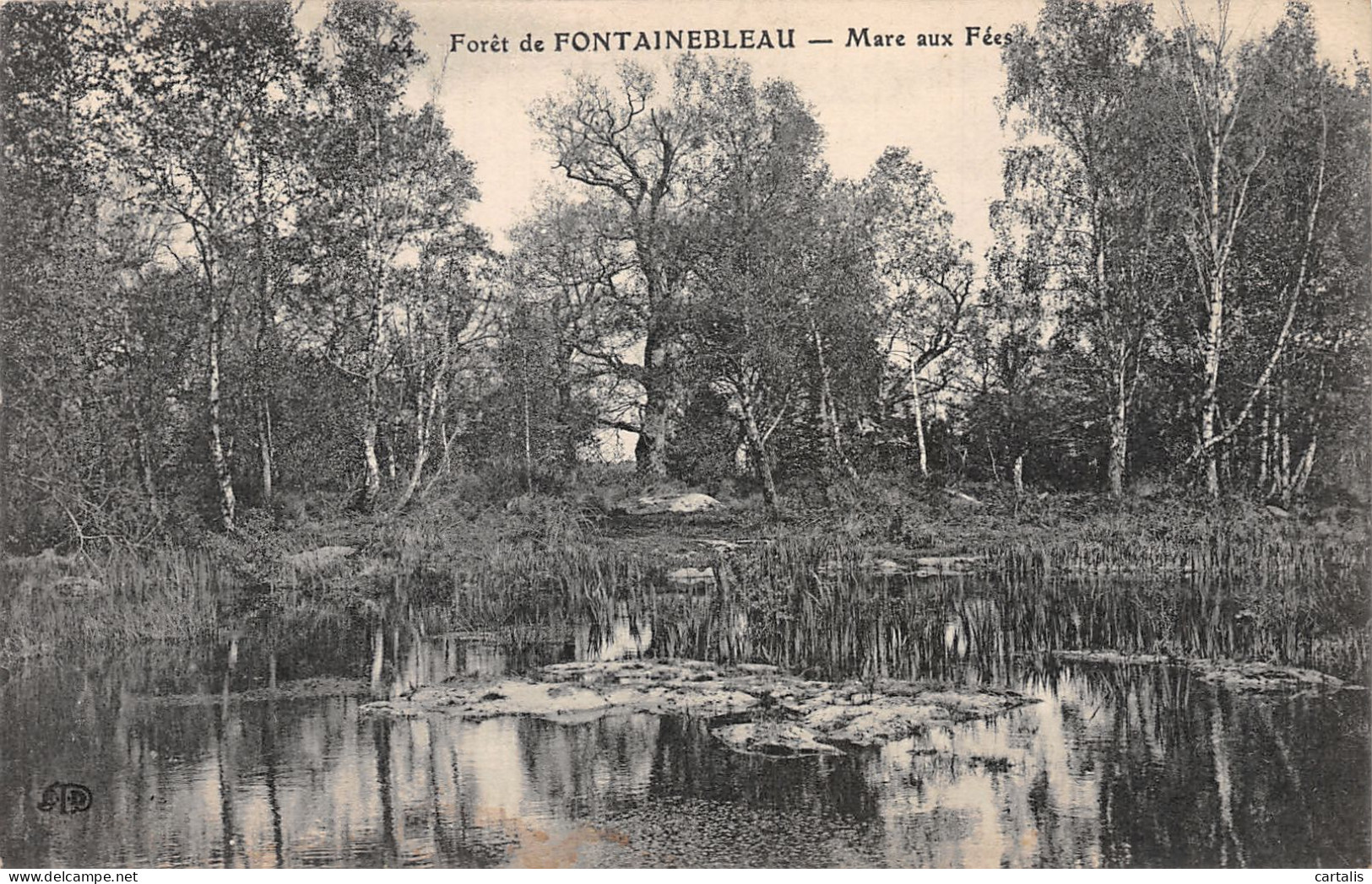 77-FONTAINEBLEAU-N°4230-G/0119 - Fontainebleau