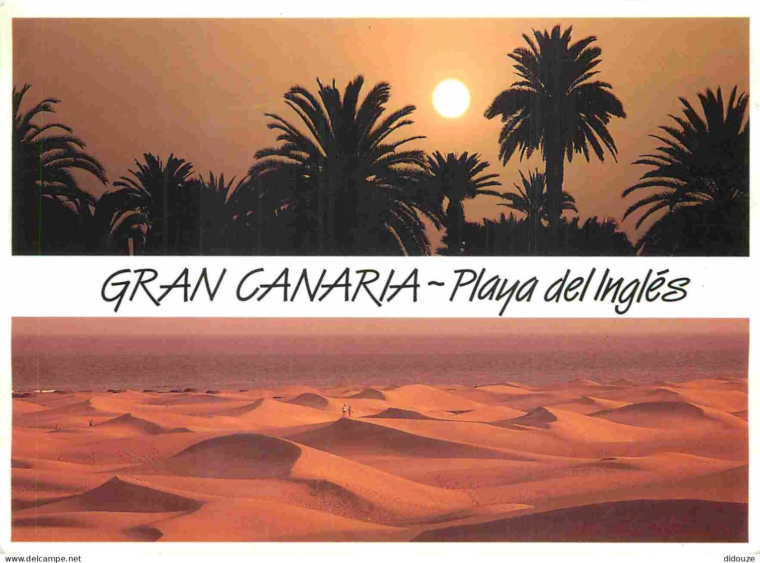 Espagne - Espana - Islas Canarias - Gran Canaria - Playa Del Inglés - Multivues - Coucher De Soleil - CPM - Voir Scans R - Gran Canaria