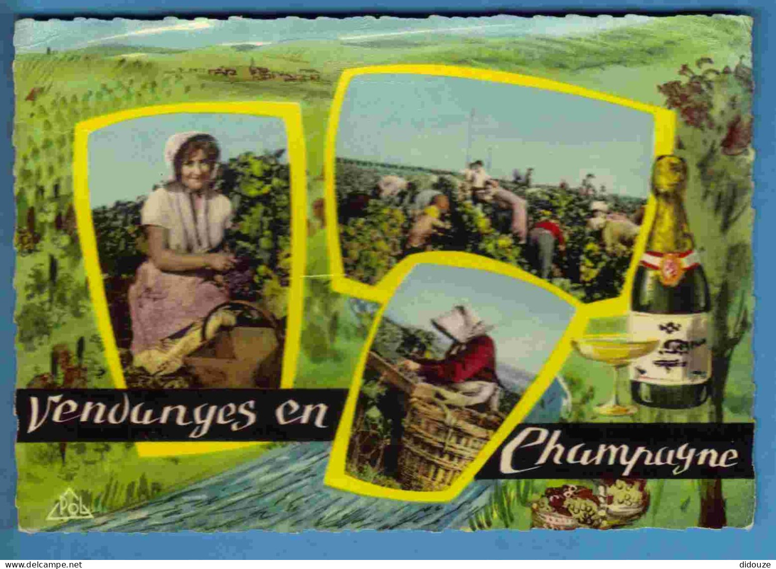Vignes - Vendanges - Champagne - Multivues - Ecrite - Weinberge