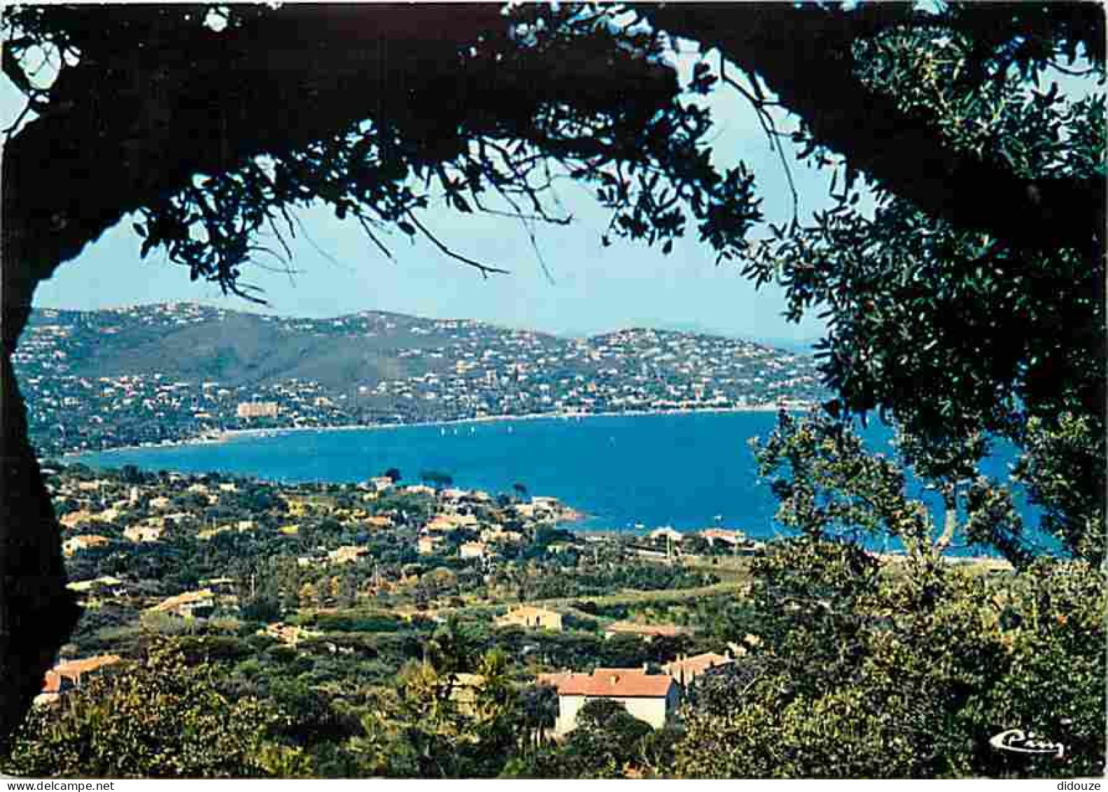 83 - Sainte Maxime - Vue Panoramique Sur Les Issambres - CPM - Voir Scans Recto-Verso - Sainte-Maxime