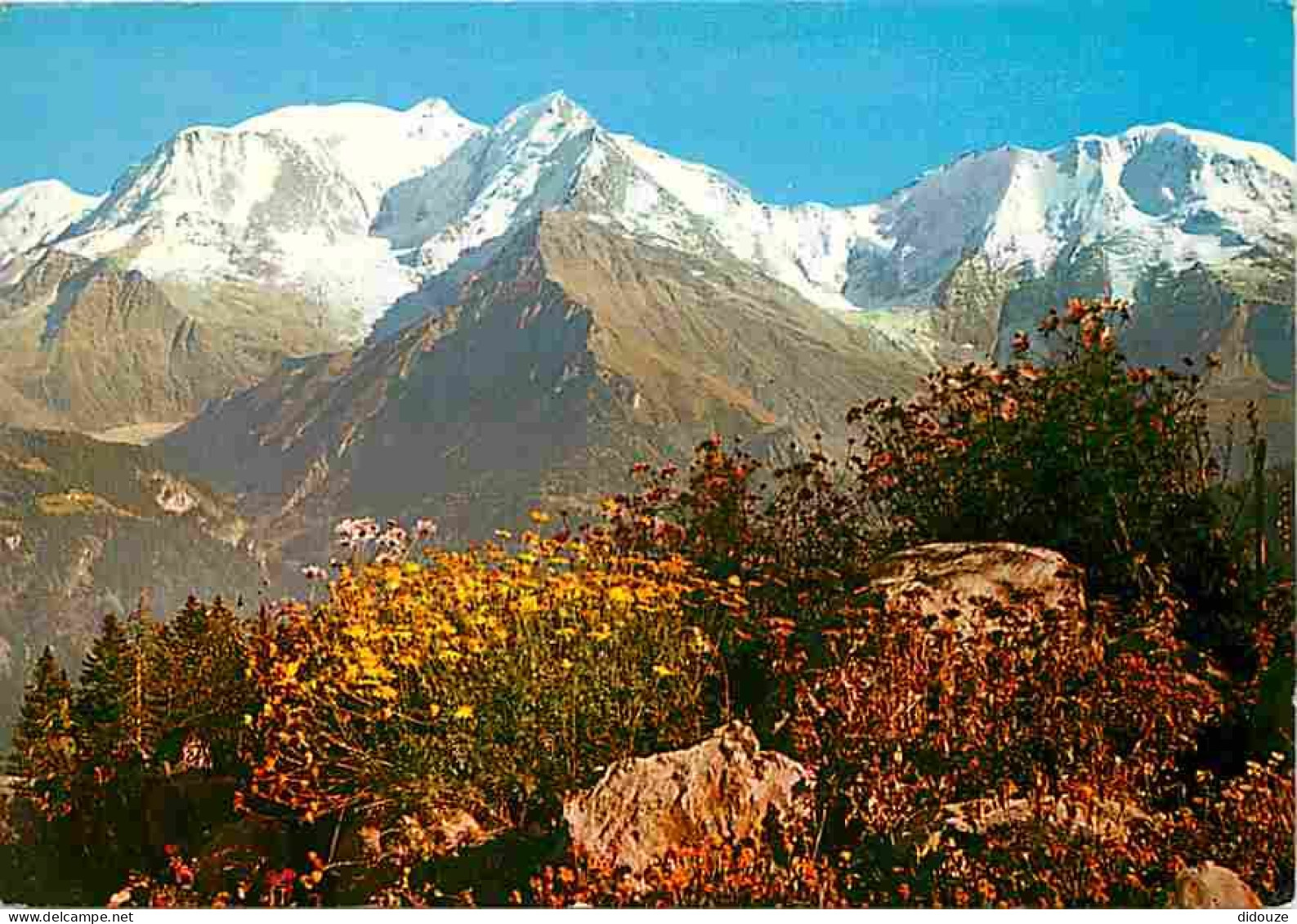 74 - Chamonix - Mont-Blanc - Printemps En Montagne Au Pied Du Mont-Blanc - CPM - Voir Scans Recto-Verso - Chamonix-Mont-Blanc